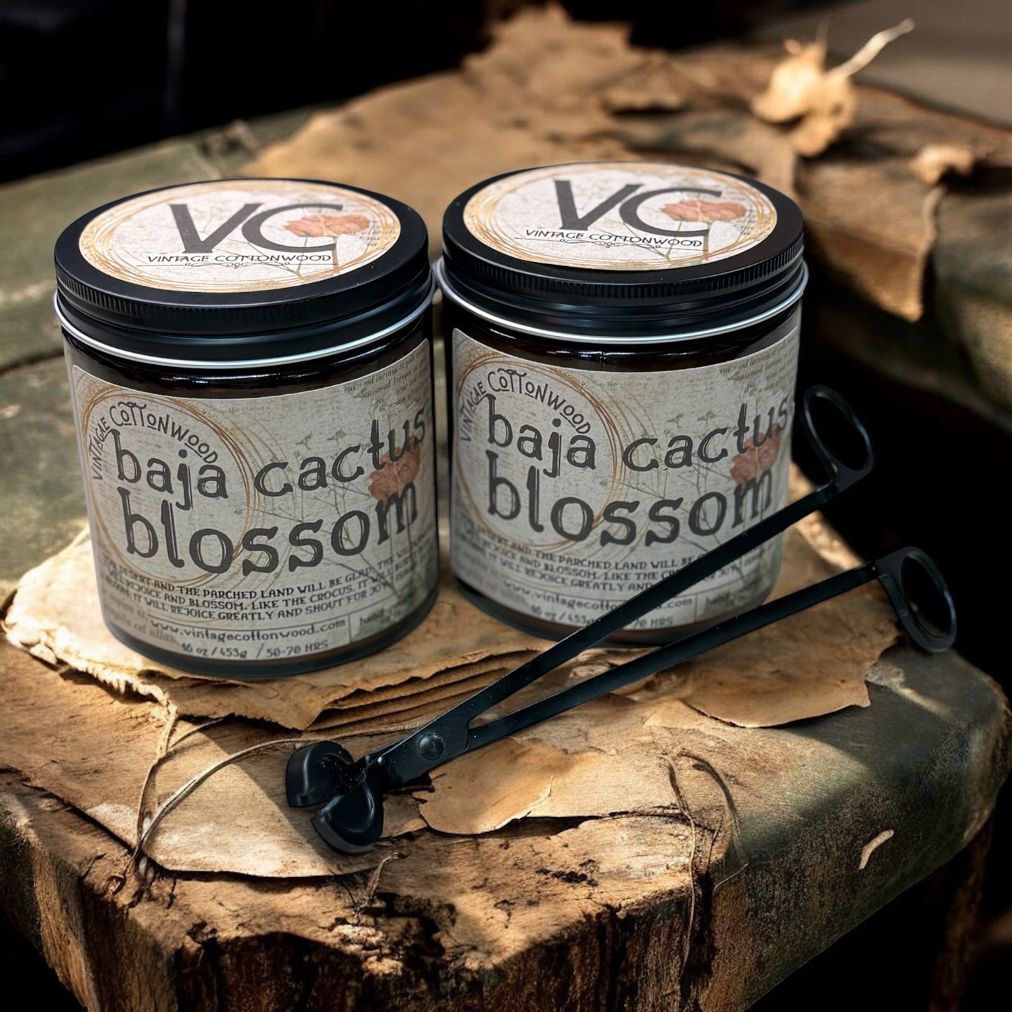 Baja Cactus Blossom - Vintage Cottonwood