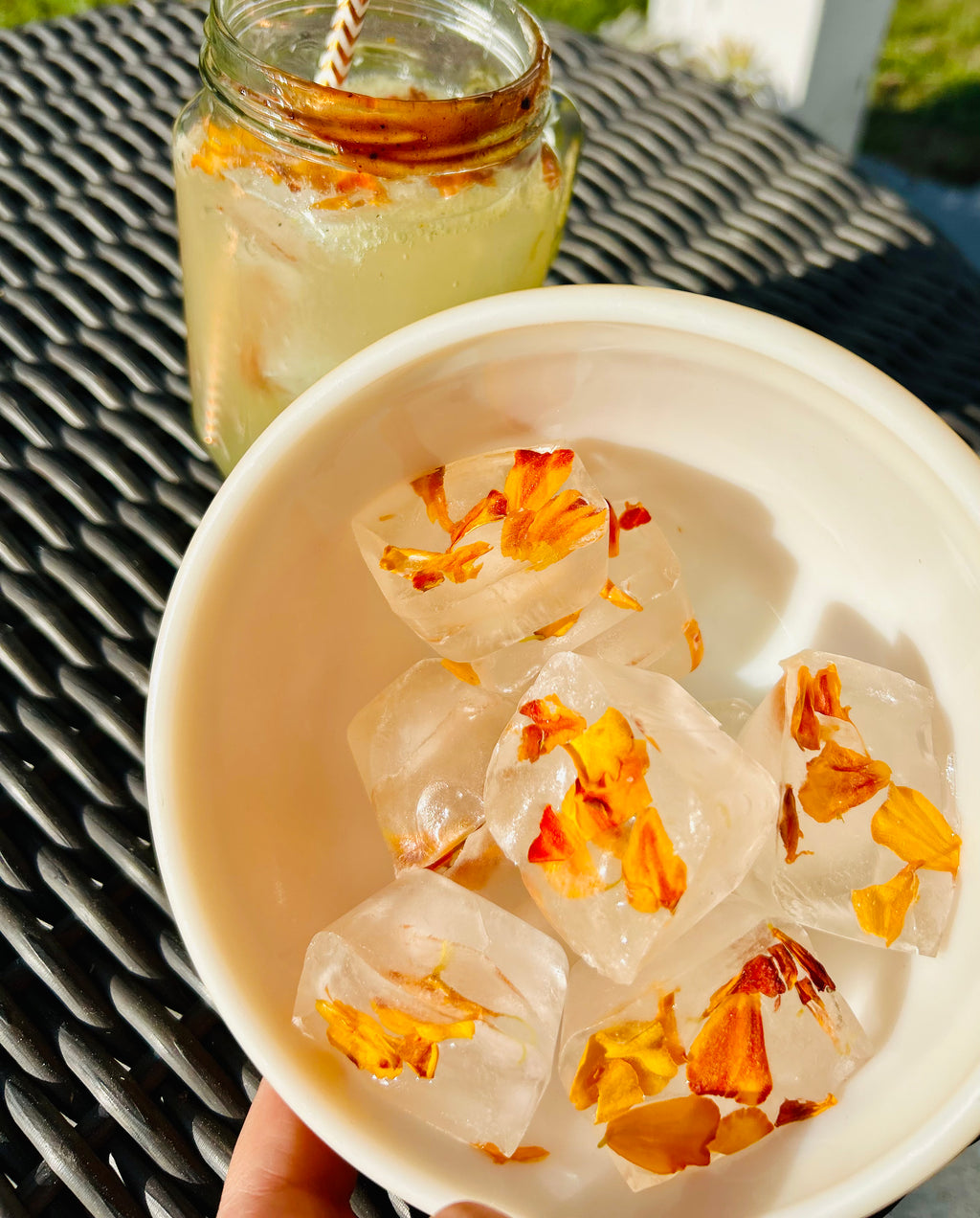 68f4baf80af4bf10c73dc146_dried-marigolds-in-ice-cubes_1765483963973.png