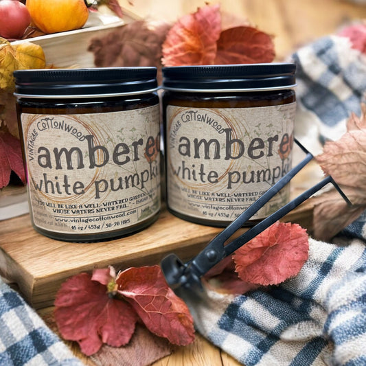 Ambered White Pumpkin - Vintage Cottonwood