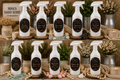 All Purpose Counter Spray - Nina's Sassy Scents